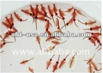 Tropica Fish Food Brine Shrimp