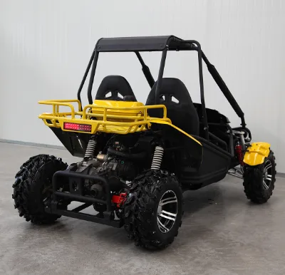 Side by Side 150cc 200cc 250cc Buggy for Adults