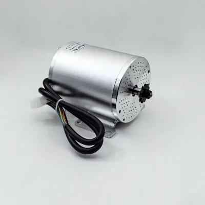 MY1020 DC Brushless High Speed Modified Motor for Car IE1 Efficiency High Efficiency Stable Performance