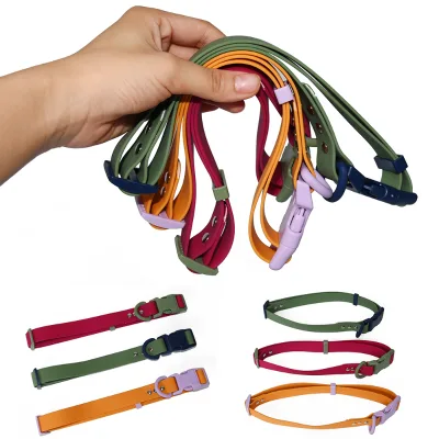 In Stock Custom Luxury Silicone Waterproof Dog Leash Collar with Print Pattern and Custom Logo
