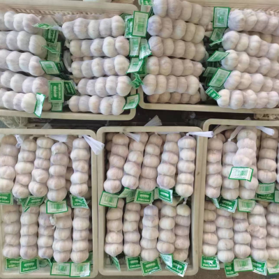 Fresh Vegetable Request for Quotation From China(Garlic/Ginger/Onion/Potato)