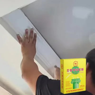 Interior House Decoration Gypsum Board Gesso Binder Powder for Gypsum Board Gap Fill up