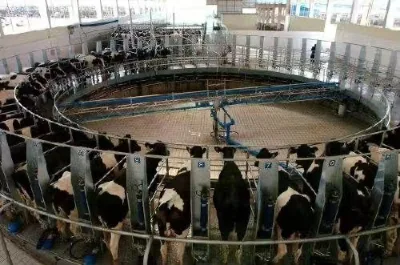 Good Qaulity Turning Circular Milking Parlor 32 Position
