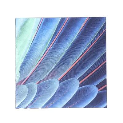 Imichef Factory Price Customize High Quality Professional Black Ceramic Tempered Glass for Electric Induction Cooker Spare Parts