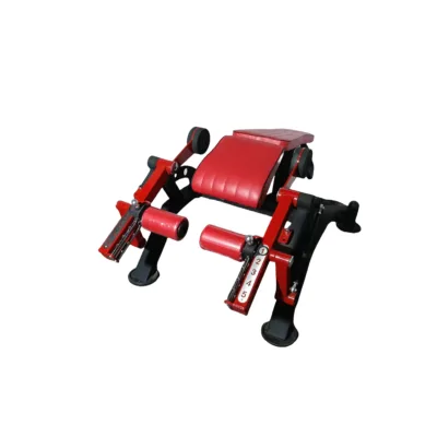 China Fitness Dual Function Leg Extension Leg Curl Machine Combo Leg Machine