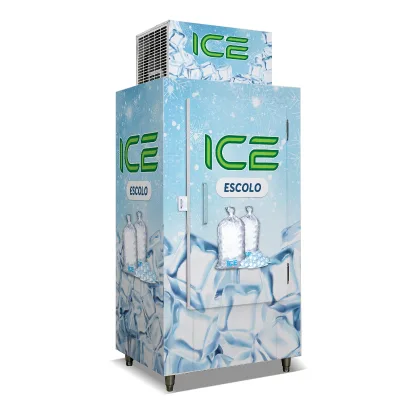 Vertical Ice Storage Freezer Large Capacity Ice Storage Cabinet Ce Approved Ice Storage Bin