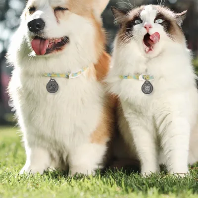 Wholesale Anti-Lost ABS Smart Pet ID Card with Two-Dimensional Code Portable Ornament for Pets