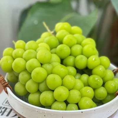 Premium Export Green Grape High Sugar Large Berry 12g Fresh Fruit Sunshine Rose Grape for Supermarket