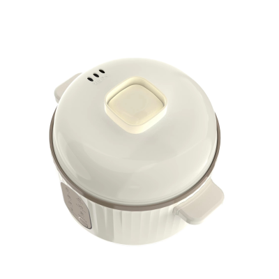 NEW Double Boiler 0.8L Slow Cooker