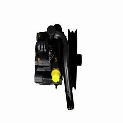 Hydraulic Power Steering Pump 96316289 96315612 96527786 96565763 94572155 96565814 96980872 for Chevrolet Spark Daewoo Matiz