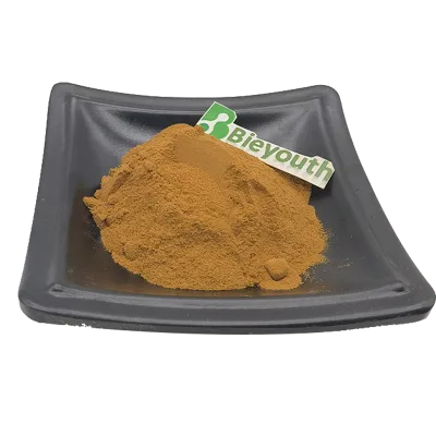 Factory Supply High Quality Food Grade Inulin Chicory Root Extract Powder