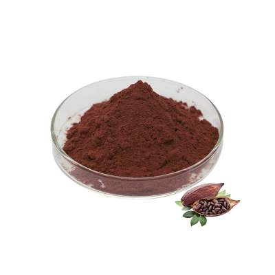 High Quality Cocoa Powder Raw Cacao Powder High Quality Organic Cacao Powder
