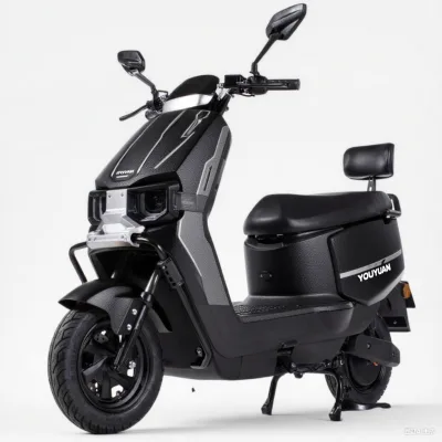 High-Speed Electric Scooter 60 V 1000 W Lead-Acid Battery Two-Wheel Electric Scooter for Adults