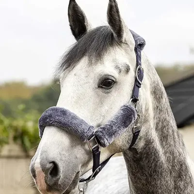 New product 2026 Wholesale Nylon Horse Halter with Custom Logo Western Saddle Style Horse Halter Leather Accessories for Horses