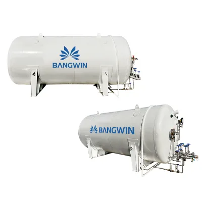 BW 2024 China CNCD Factory Low Temperature Storage Vessel Liquid Argon Storage Tank