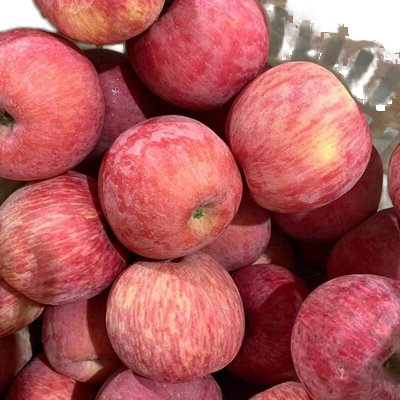 Organic Red Apples Supermarkets Distributors' Choice Vacuum Packed and BQF Frozen Preserved with Brine
