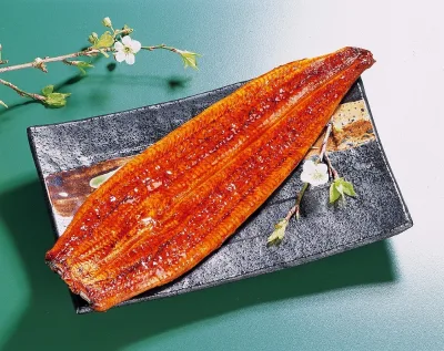 8-20oz Frozen Conger Eel Breeding Eel Roasted Live Eel Fish