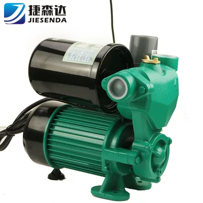 High Efficient Automatic High Pressure Home Booster Electric Clean Water Pump