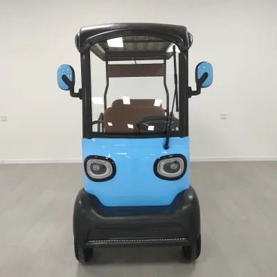 Hot Sale Eco Friendly Charging Vehicle Large Capacity 1000W 4 Wheel Electric Scooter for Family