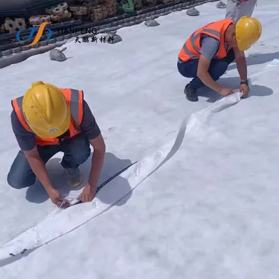 Waterproof Geotextile Fabric Spunbond Polyester Nonwoven Geotextile Membrane in Saudi Arabia