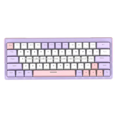 Custom Gasket 60% RGB Backlit Mechanical keyboard USB 2.4g Wireless Bluetooth Mechanical Keyboard
