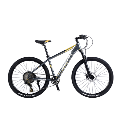 2021 Factory Price Supply Custom High Quality Cycle Mountain Bike Mtb Bicycles with Wheels Rim