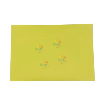 Vibrant Color Envelopes Assorted Sizes Premium Quality Cheap Bulk Buy Hot Item