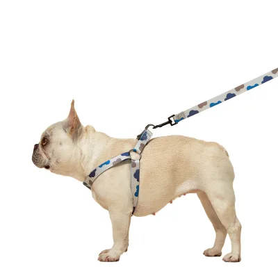 High Quality Luxury Double-Sided Printed Nylon Pet Harness Collar Leash Sustainable Dog Accessories