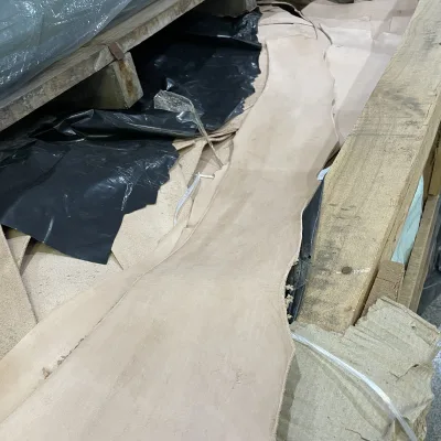 Hot Selling Imported Genuine Cowhide Leather Top Layer for Cream Brisket Strips Vegetable Tanned for Shoes Furniture Sofas