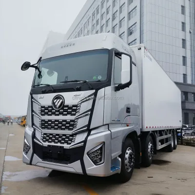 China New 6x2 12ton Refrigerated Van Truck Body