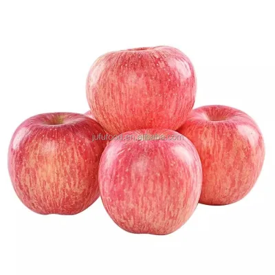 20KG Carton Packed New Season Fresh Apples from China