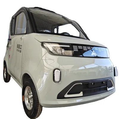 4-Seater Electric Car 60V60AH for Adults Choice Between Lead Acid or Lithium Battery Made in China