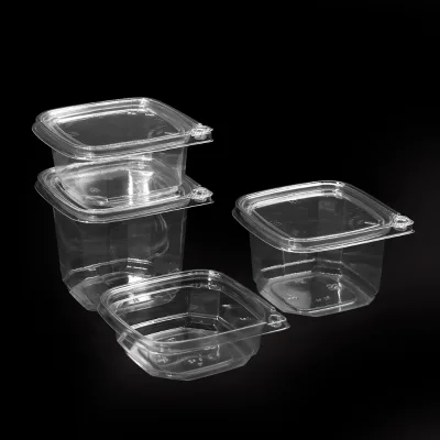 Premium Leakproof Tamper-Resistant PET Food Containers with Hinged Clear Lids for Cold Meals