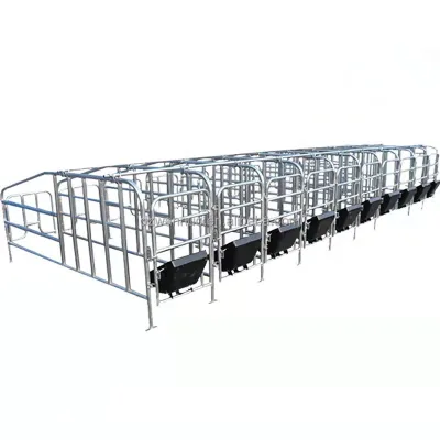 2024 Great Quality Farrowing Pen Farrowing Crates for Pigs Farrowing Crates for Pig Farm Equipment