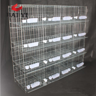 House for Racing Pigeon Bird Cages Animal Cages