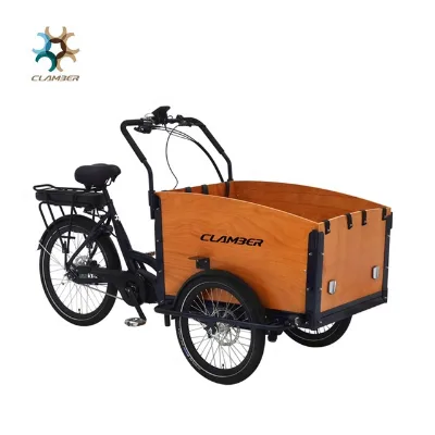 Aluminum Alloy 3 Wheel Middle Drive Fmaily Cargo Bike Bicycle for Sale