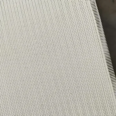 Polyester Meltblown Nonwoven Conveyor Belt Mesh for Paper Pulp Filtration