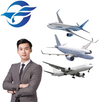 20 Years of Experience in Freight Forwarding Global Logistics Services and Express Delivery to the United States and Canada