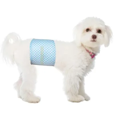 UK Europe USA AMZN Hot Selling Disposable Puppy Dog Diapers Wetness Indicator Super Absorbent Soft Male Dog Training Diaper Pad
