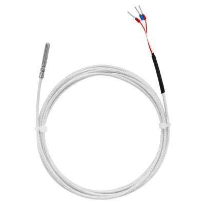 Class a PT100 RTD Temperature Sensor 2/3/4/6 Wires 5K 10K Range 4-20MA 0-10V 0-5V Output Compatible with DS18B20