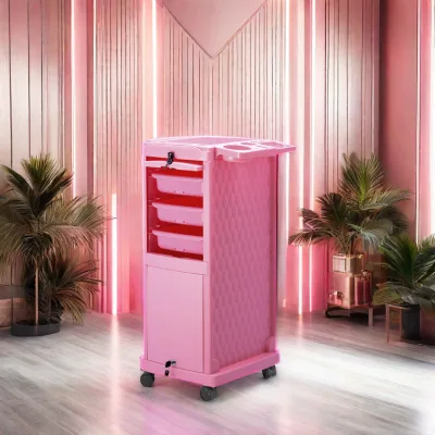 Modern Salon Stylist Cart Lockable Beauty Furniture Rolling Wheels Hairdressing Cabinet Storage Coloring Hospital Workshop
