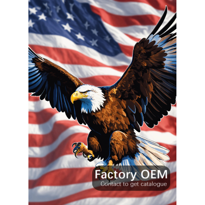 Histone 5d Diamond Painting Full Square/Round USA Eagle Picture of Rhinestone DIY Diamond Embroidery Home Decor