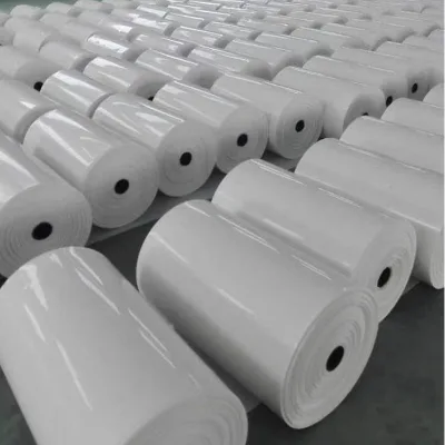Adjustable New Poultry Manure Removal Belt | Perforated Egg Collection Belts | Egg Collection Systems Spare Parts