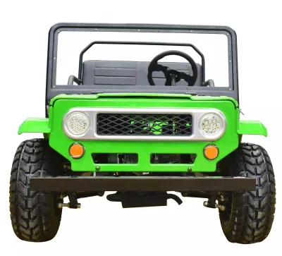 New Child Mini Willys 125cc 4 Stroke Automatic 2seats 2WD with Reverse EPA Eec Certified