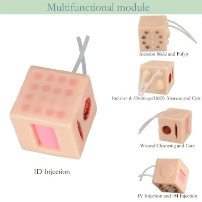5-in-1 Multi-functional Square Model, Skin Test Model, Nevus Excision Model, Wound Model, Tumor Mass Model