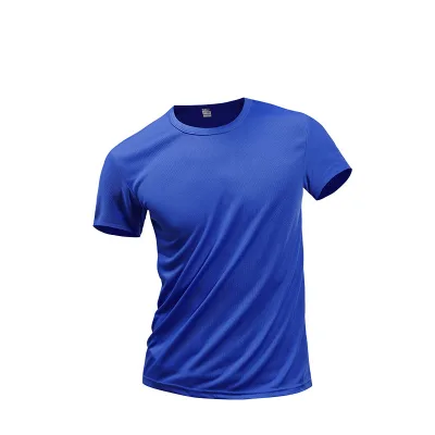 Cheap Wholesale Quick Dry Breathable 100% Polyester Multi Color Mesh Custom Logo Short Sleeve Sports T Shirt