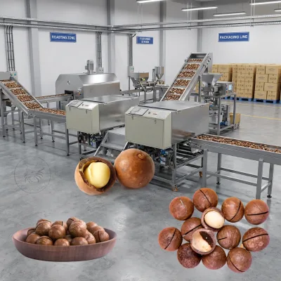 Food Grade Macadamia Fabrication Plant Nut Opening Dehulling Conditioning Sorting Packing Industrial Processing Line Machinery