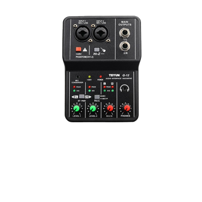 Q12 Professional Mini Audio Multimedia Video Interface USB 2-Channel Recording Sound Card for Live Broadcast Wholesale