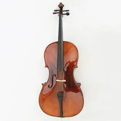 Cello 4/4 Handmade Musical Instrument with Ebony Strings Brazil Wood Bow