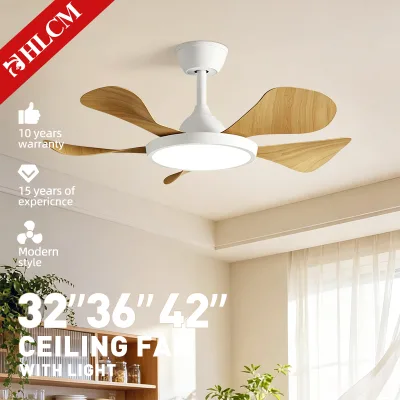 Shallow Ceiling Fan Lamp LED Living Room 3/5/6 Blades DC Motor Remote Control Intelligent Customizable Frequency Conversion